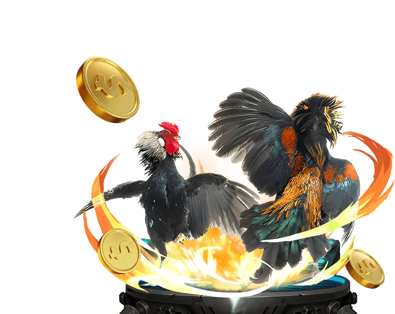 Tổng quan về nền tảng daga88 trực tiếp với trọng tâm bảo mật